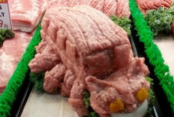 生肉  漫画,探寻肉食背后的故事与情感